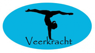 Logo Turnvereniging Veerkracht